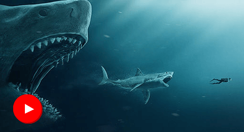 Mundo Andreé - Movie