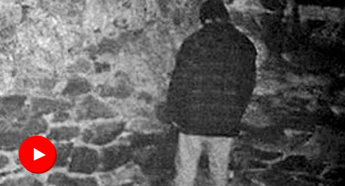 Proyecto Bruja de Blair